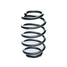 فنر لول جلو پژو۲۰۰۸